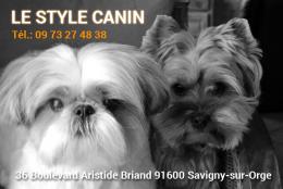 Logo Le Style Canin